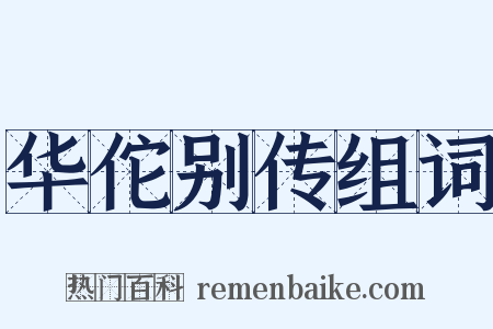 华佗别传组词是什么意思的图片